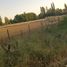  Terreno (Parcela) en venta en Linares, Maule, Parral, Linares
