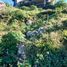  Land for sale in Baguio City, Cordillera, Baguio City, Benguet