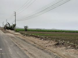  Terreno (Parcela) en venta en Huaral, Lima, Chancay, Huaral