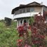  Terrain for sale in Santa Cruz, Galapagos, Bellavista, Santa Cruz