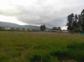  Land for sale in Conocoto, Pichincha, Conocoto