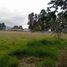  Land for sale in Conocoto, Pichincha, Conocoto