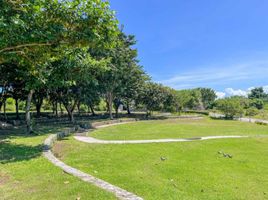  Land for sale in Calatagan, Batangas, Calatagan