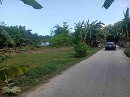  Terreno (Parcela) en venta en Liloan, Cebu, Liloan