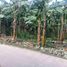  Land for sale in Liloan, Cebu, Liloan