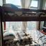 1 Schlafzimmer Appartement zu verkaufen in Sampaloc, Metro Manila, Sampaloc, Manila, Metro Manila