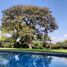 4 Schlafzimmer Quinta zu verkaufen in Tepoztlan, Morelos, Tepoztlan, Morelos