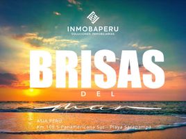  Terreno (Parcela) en venta en Asia, Lima, Asia