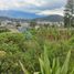  Terreno (Parcela) en venta en Imbabura, Otavalo, Otavalo, Imbabura