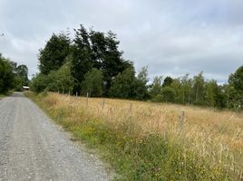  Terreno (Parcela) en venta en Los Lagos, Puerto Octay, Osorno, Los Lagos