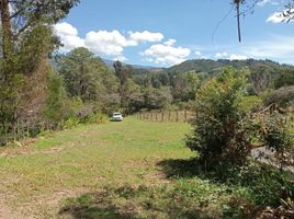  Land for sale in Ciudad de Dios, Fundación Santa Teresa de Ávila, Villa De Leyva, Villa De Leyva