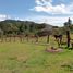  Land for sale in Ciudad de Dios, Fundación Santa Teresa de Ávila, Villa De Leyva, Villa De Leyva