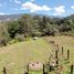  Terrain for sale in Villa De Leyva, Boyaca, Villa De Leyva