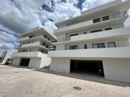 2 Bedroom Apartment for rent in El Marques, Queretaro, El Marques