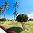  Terreno (Parcela) en venta en Castilla, Piura, Castilla, Piura, Piura