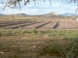  Land for sale in Galeana, Nuevo Leon, Galeana