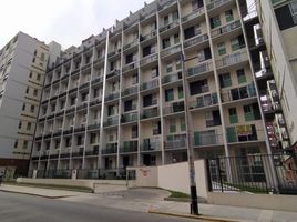 3 Bedroom Apartment for rent in Lima, Comas, Lima, Lima