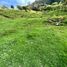  Land for sale in Loja, Loja, Loja, Loja