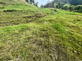  Terrain for sale in Loja, Loja, Loja, Loja