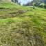  Land for sale in Loja, Loja, Loja, Loja, Loja