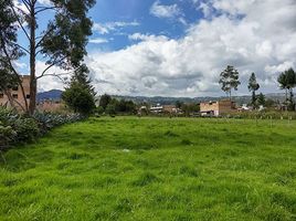  Terreno (Parcela) en venta en Cajamarca, Cajamarca, Cajamarca, Cajamarca