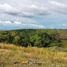  Land for sale in Cebu Central Visayas, Tabuelan
