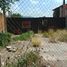  Land for sale in Penjamo, Guanajuato, Penjamo