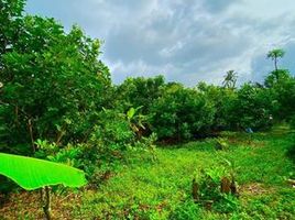  Land for sale in Cavite, Calabarzon, Tagaytay City, Cavite