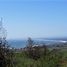  Terreno (Parcela) en venta en Maule, Pelluhue, Cauquenes, Maule