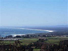  Terreno (Parcela) en venta en Maule, Pelluhue, Cauquenes, Maule
