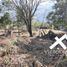  Terreno (Parcela) en venta en Nogales, Veracruz, Nogales