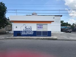 Terrain à vendre à Cozumel, Quintana Roo, Cozumel