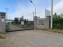  Terreno (Parcela) en venta en Chile, Maule, Talca, Maule, Chile