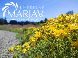  Terreno (Parcela) en venta en Chile, Villarrica, Cautín, Araucanía, Chile