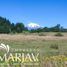  Terreno (Parcela) en venta en Chile, Villarrica, Cautín, Araucanía, Chile