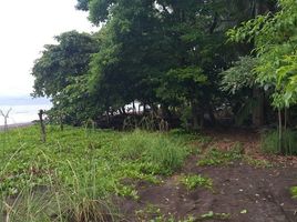  Land for sale in Los Santos, Cambutal, Tonosi, Los Santos