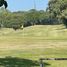  Terreno (Parcela) en venta en Centro, Tabasco, Centro, Tabasco