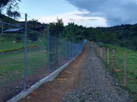  Terreno (Parcela) en venta en La Cumbre, Valle Del Cauca, La Cumbre