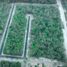 Land for sale in Cozumel, Quintana Roo, Cozumel