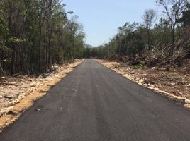  Land for sale in Cozumel, Quintana Roo, Cozumel