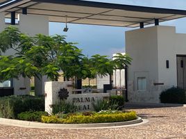  Land for sale in Leon, Guanajuato, Leon, Guanajuato