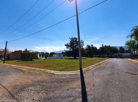  Grundstück zu verkaufen in Tlajomulco De Zuniga, Jalisco, Tlajomulco De Zuniga