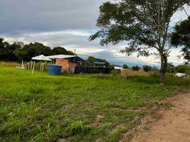  Land for sale in Ibague, Tolima, Ibague