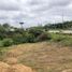  Land for sale in Santo Domingo De Los Colorados, Santo Domingo De Los Tsachilas, Santo Domingo De Los Colorados, Santo Domingo, Santo Domingo De Los Tsachilas