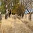  Land for sale in Silao, Guanajuato, Silao