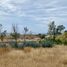  Land for sale in Silao, Guanajuato, Silao