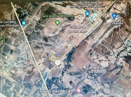  Land for sale in Silao, Guanajuato, Silao
