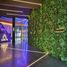  Hotel for rent in Miguel Hidalgo, Mexico City, Miguel Hidalgo