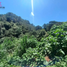  Land for sale in Baguio City, Benguet, Baguio City