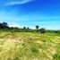  Land for sale in Puerto Princesa City, Mimaropa, Puerto Princesa City, Palawan, Mimaropa